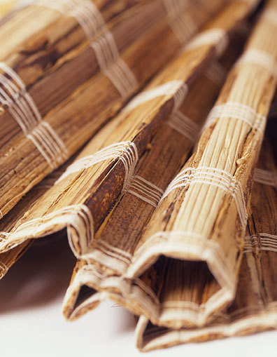 1500 Sulawesi detail