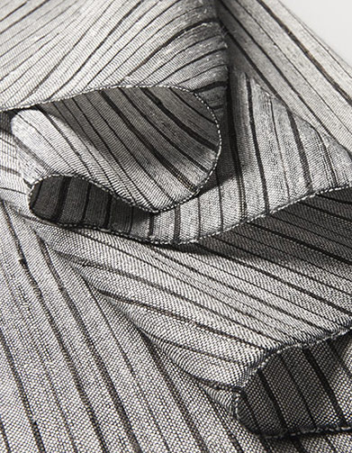 2117 Chondrite detail