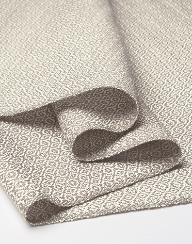 2157 Delphinus detail