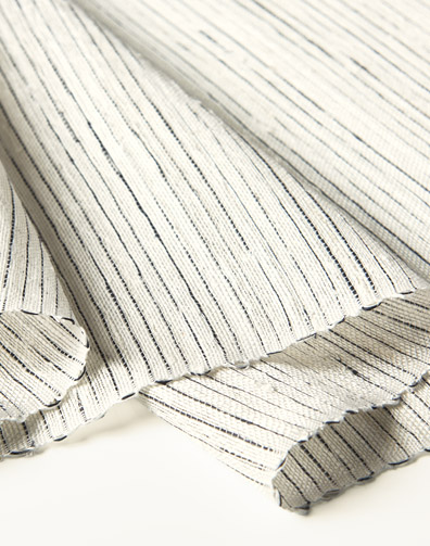 2173 Mistral detail