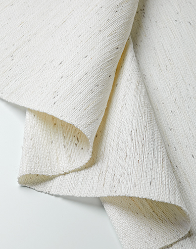 2193 Cahya detail