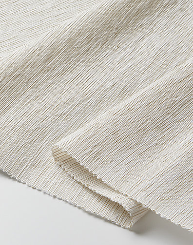 2217 Anamudi detail