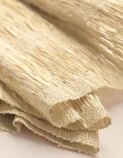 27 Arrowroot detail